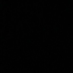 Meet your Posher, Jerilynn